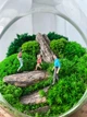 Флорариум с мхом и камнями в форме стеклянного яйца 20х13 см (15801) - изображение 6
