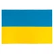 Флаг Vinga Украина, государсвенный, 60*90см (VFUS090G) - изображение 1