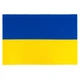 Флаг Vinga Украина, государсвенный, 90*140см (VFUSDB140G) - изображение 1