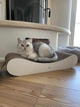 Кігтеточка - лежанка для котів "Leo Pets" S (60х12х25cм) - зображення 1