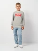 Детский свитшот Levi's LVB Batwing Crewneck 9E9079-078 134-140 см Серый (3665115046137) - изображение 3