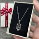 Кулон на цепочке "Герб Украины Тризуб" ювелирная сталь Xuping Jewelry серебристая упакован в коробочку (16217) - изображение 2