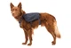 Шлейка-рюкзак для собаки Ruffwear Front Range™ S Серый (50601-042S) - изображение 6