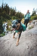 Шлейка-рюкзак для собаки Ruffwear Front Range™ S Зеленый (50601-355S) - изображение 8