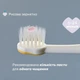 Набор зубных щеток Chicco First Milk Teeth для первых зубов 6-36 мес 2 шт (12082.00) (8058664174706) - изображение 4