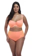 Купальник роздільний Elomi Amazonia 7163-7166 80K/XL Mango (ZIK0000023120) - зображення 1