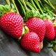Саженцы клубники (рассада) Кэбот (Cebot) поздняя - изображение 10