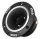Рупорные твитеры Voice PXT-100 - изображение 1