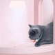 Умный лазерный ошейник для кошек Smart Laser Collar Смарт игрушка с лазерной указкой - изображение 5