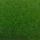 Ковролин Turfgrass Alvira Lime искусственная трава 25 мм 2 м зеленый - изображение 1