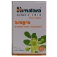 Смесь экстрактов Himalaya Shigru 60 Tabs - изображение 2