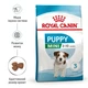 Сухий корм Royal Canin Mini Puppy для цуценят малих порід 1,6 кг + 400 г - зображення 2