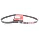 Ремінь генератора на BYD F3 DONGIL, 10237822-00 - зображення 1