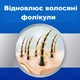 Пена для лечения выпадения волос у мужчин Kirkland Minoxidil 5% (60 гр) 3 флакона на 3 месяца - изображение 3