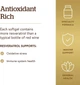 Ресвератрол Solgar, Resveratrol, 250 мг, 30 капсул - зображення 3