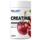 Креатин моногідрат Willmax Creatine Monohydrate 500 г 100 servings Cherry (000021891) - изображение 1