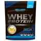 Протеин Willmax Whey Protein 65 1000 г 25 servings Banana - изображение 1