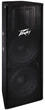 Акустическая система PEAVEY PV215 - изображение 1