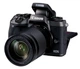 Canon EOS M5 18-150 IS STM Kit Black - зображення 5
