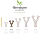 Игрушка для собак Benebone Puppy Wishbone (S, Bacon) - изображение 5