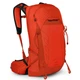 Туристический рюкзак Osprey Talon Pro 20 Mars Orange (009.3535) - изображение 1