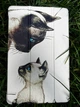 Чехол для планшета BeCover Smart Case для Samsung Galaxy Tab A9 SM-X115 8.7" Cat (BC_711267) - изображение 5