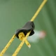 Намет Wechsel Exogen 3 ZG Green (231086) (DAS302753) - зображення 20