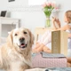 Покрывало IDEIA Silhouette Мятное евро 240x260 см двустороннее прочная стежка ткани микрофибра (4820227287710_1) - изображение 11