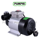 Насос для перекачки дизельного топлива PUMPIS AC 220-60, 220 В, 60 л/мин - изображение 1