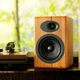 Акустическая система AudioEngine A5+ Bamboo - изображение 5