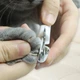 Кусачки-когтерез для Животных с Ограничителем Clefers Pet 546 Клиперы Ножницы для Когтей (5001901) - зображення 9