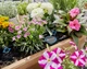 Датчик вологості ґрунту Gardena 01867-20.000.00 - зображення 6