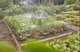 Zestaw do nawadniania Gardena Micro-Drip-System (13450-20.000.00) - obraz 7