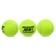 Мячи для большого тенниса Dunlop ATP Champion 601332 3 мяча в комплекте - изображение 3