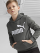 Młodzieżowa bluza z kapturem ocieplana chłopięca Puma Ess Big Logo Hoodie Fl B 58696560 176 cm Ciemnoszara (4099685595921) - obraz 1