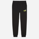 Підліткові теплі спортивні штани на флісі для хлопчика Puma Ess+ 2 Col Logo Pants Fl Cl 586988-59 152 см Чорні (4099685595082) - зображення 1