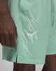 Чоловічі Шорти Jordan Essentials Men's Shorts(FN4647-349) M Бірюзовий - изображение 6