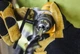 Дрель ударная DeWalt DWD024 - изображение 6