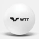 DHS DJ40+ WTT Officiall ball (ITTF approved) — Мячи для настольного тенниса 6 штук - изображение 3