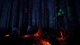 Ключ активации HORROR TALES: The Beggar для Xbox One/Series S/X - изображение 3