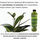 Комплексне натуральне добриво для орхідей, для живлення та підвищення імунітету: Суспензія Хлорелли, 1л, арт.85556 - зображення 3