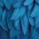 Виниловый фотофон 140x140см, Frontlit 450 г/м2 №551400 - изображение 1