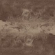 Виниловый фотофон 100x100см, Frontlit 450 г/м2 №550983 - изображение 1