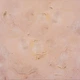 Виниловый фотофон 60x60см, Frontlit 450 г/м2 №551085 - изображение 1