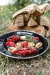 Набор эмалированных тарелок Petromax Enamel Plates 22 см Черный 2 шт (4250435730645) - изображение 4
