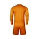 Комплект детской вратарской формы оранжевый Kelme 3803286.9807 Kelme 120 - изображение 2
