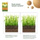 Удобрение Compo для газонов осеннее 4 кг (3170/4008398113704) - изображение 4