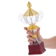 Кубок спортивный с ручками приз спортивный SP-Sport Heroe 895-2 высота 30 см Gold - изображение 4