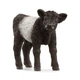 Галловейське теля Schleich 13969 - изображение 1