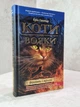 Коти-Вояки. Комплект із 6 книг 1 циклу серії Коти-вояки. Гантер Ерін - зображення 6